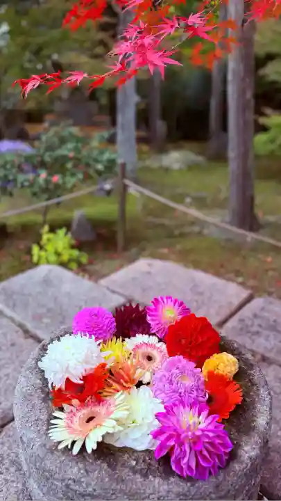 勝林寺(京都府)