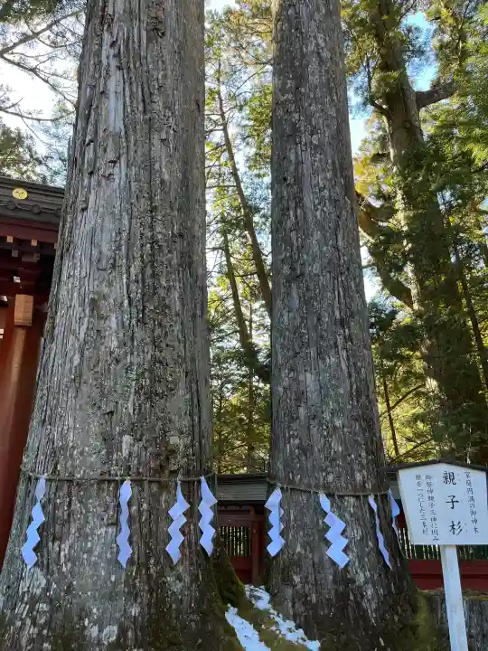 日光二荒山神社の{uncategorized: "未分類", other: "その他", undefined: "問題あり", building: "その他建物", grave: "お墓", sacred_gate: "鳥居", guardian: "狛犬", statue: "像", buddha: "仏像", history: "歴史", nature: "自然", garden: "庭園", animal: "動物", pagoda: "塔", temizu: "手水舎", mountain_gate: "山門・神門", sanctuary: "本殿・本堂", subordinate: "末社・摂社", art: "芸術", scenery: "景色", jizo: "地蔵", ema: "絵馬", goshuin: "御朱印", omikuji: "おみくじ", items: "授与品その他", amulet: "お守り", goshuincho: "御朱印帳", eats: "食事", festival: "お祭り", votive_dance: "神楽", shichigosan: "七五三参", wedding: "結婚式", experience: "体験その他", initially: "初詣", around: "周辺", anti_infection: "感染症対策"}