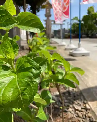 總社 和田八幡宮の庭園