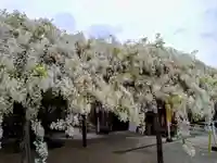 松應寺(愛知県)