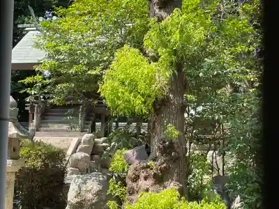 伊賀留我神社(北社)(三重県)