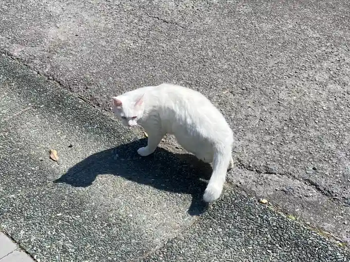 王子神社(徳島県)