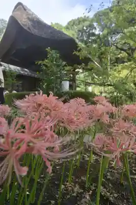 横浜　西方寺(神奈川県)