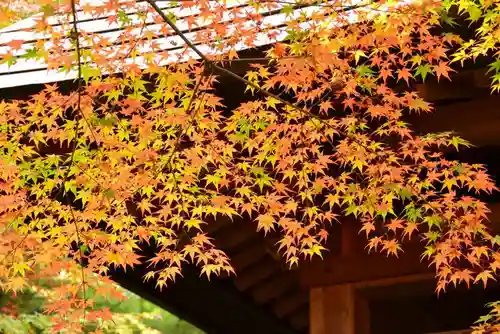 両足寺(山口県)