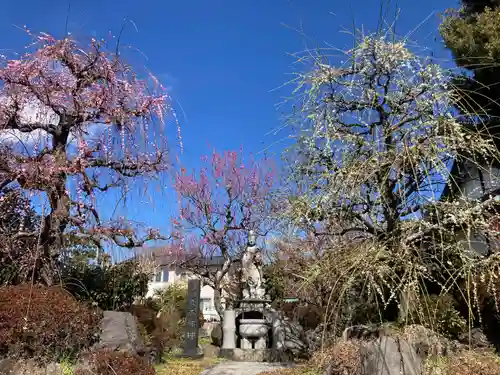 法蓮寺(神奈川県)