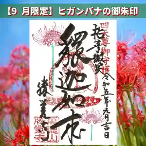 勝覚寺の御朱印 2024年09月01日(日)〜(2024年09月02日(月) 15時45分07秒投稿)