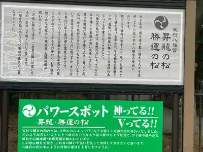 玉村八幡宮(群馬県)
