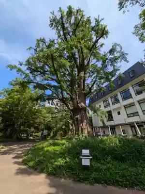 烏森神社(東京都)