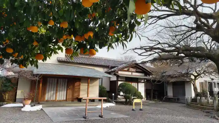 寿昌寺（壽昌寺）の本殿