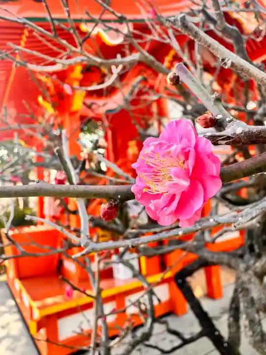 土佐稲荷神社の{uncategorized: "未分類", other: "その他", undefined: "問題あり", building: "その他建物", grave: "お墓", sacred_gate: "鳥居", guardian: "狛犬", statue: "像", buddha: "仏像", history: "歴史", nature: "自然", garden: "庭園", animal: "動物", pagoda: "塔", temizu: "手水舎", mountain_gate: "山門・神門", sanctuary: "本殿・本堂", subordinate: "末社・摂社", art: "芸術", scenery: "景色", jizo: "地蔵", ema: "絵馬", goshuin: "御朱印", omikuji: "おみくじ", items: "授与品その他", amulet: "お守り", goshuincho: "御朱印帳", eats: "食事", festival: "お祭り", votive_dance: "神楽", shichigosan: "七五三参", wedding: "結婚式", experience: "体験その他", initially: "初詣", around: "周辺", anti_infection: "感染症対策"}
