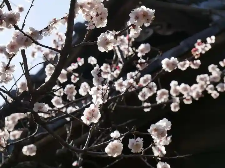 三囲神社の自然