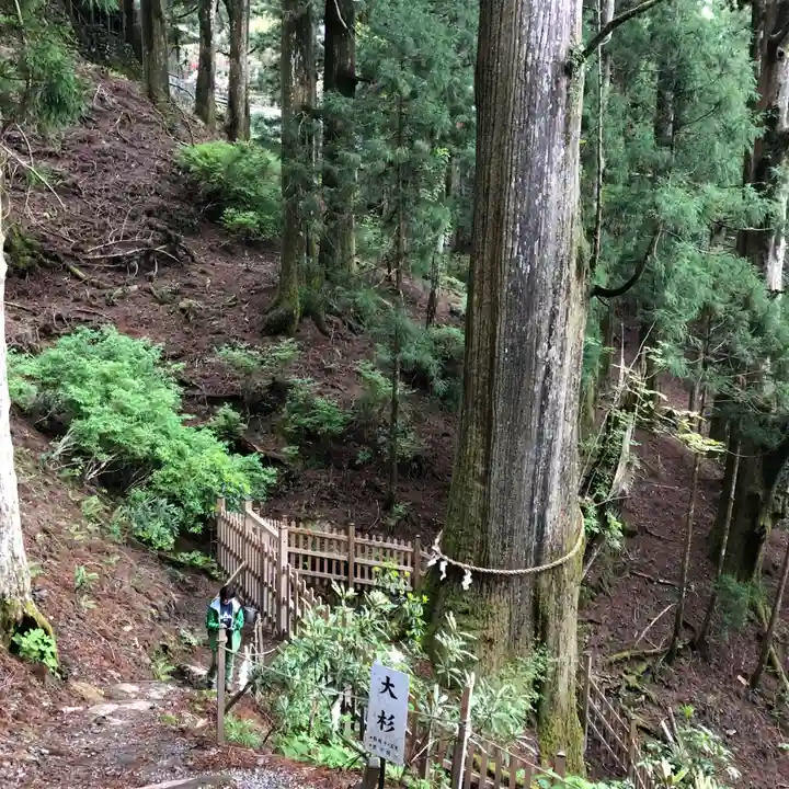 玉置神社(奈良県)