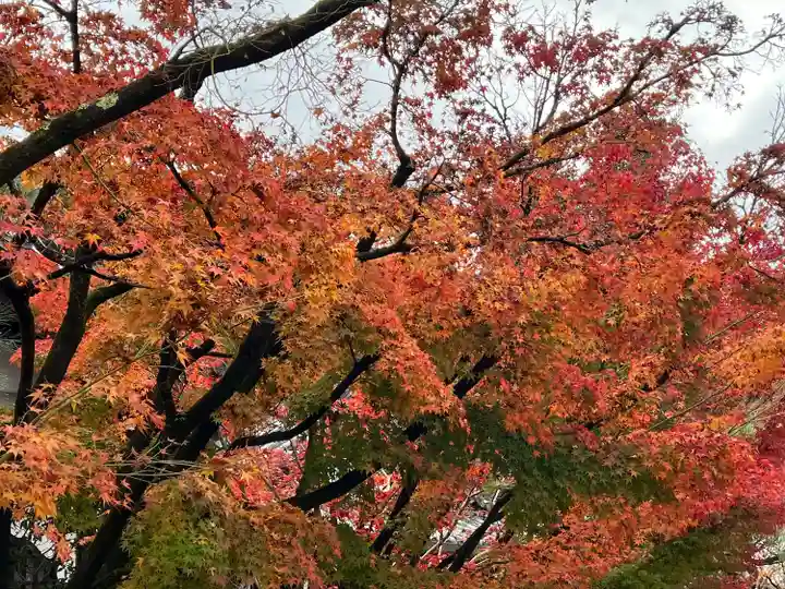 禅林寺(永観堂)(京都府)