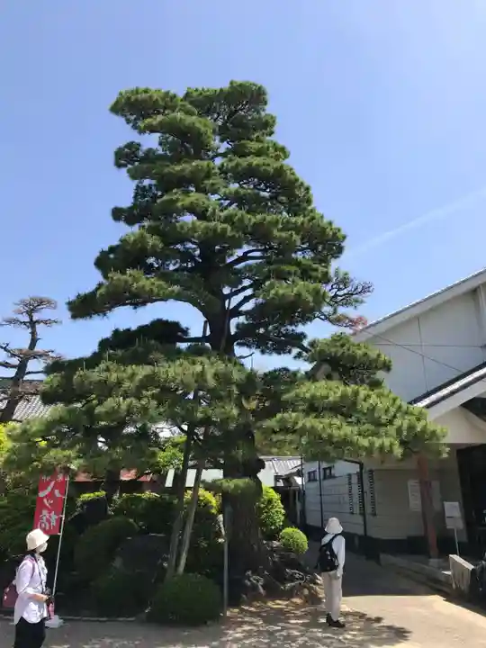 日吉山王社(愛知県)