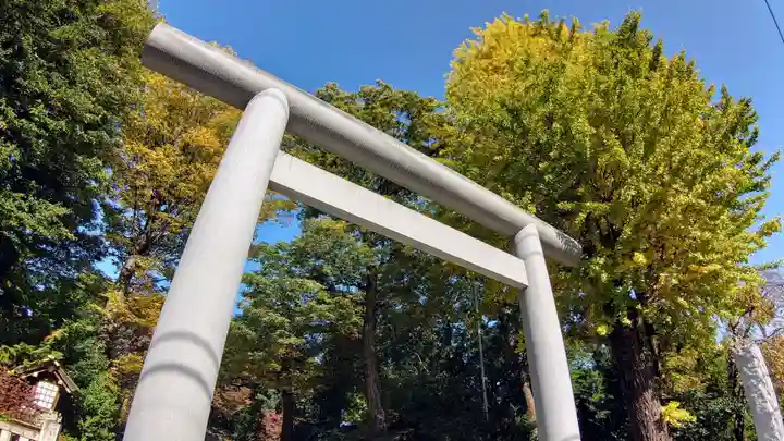 阿佐ヶ谷神明宮の鳥居