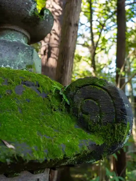 赤坂氷川神社(東京都)