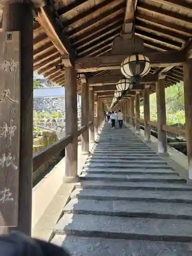 長谷寺の{uncategorized: "未分類", other: "その他", undefined: "問題あり", building: "その他建物", grave: "お墓", sacred_gate: "鳥居", guardian: "狛犬", statue: "像", buddha: "仏像", history: "歴史", nature: "自然", garden: "庭園", animal: "動物", pagoda: "塔", temizu: "手水舎", mountain_gate: "山門・神門", sanctuary: "本殿・本堂", subordinate: "末社・摂社", art: "芸術", scenery: "景色", jizo: "地蔵", ema: "絵馬", goshuin: "御朱印", omikuji: "おみくじ", items: "授与品その他", amulet: "お守り", goshuincho: "御朱印帳", eats: "食事", festival: "お祭り", votive_dance: "神楽", shichigosan: "七五三参", wedding: "結婚式", experience: "体験その他", initially: "初詣", around: "周辺", anti_infection: "感染症対策"}