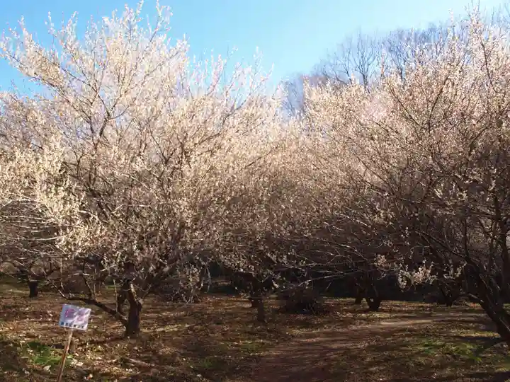 壽命院 永徳寺(栃木県)