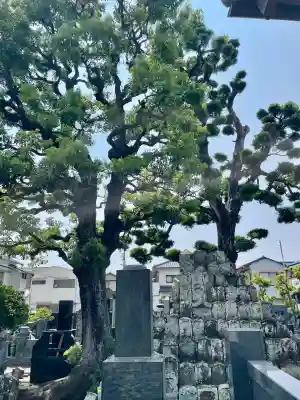 長円寺(静岡県)