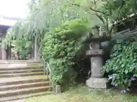 安國論寺(安国論寺)の庭園