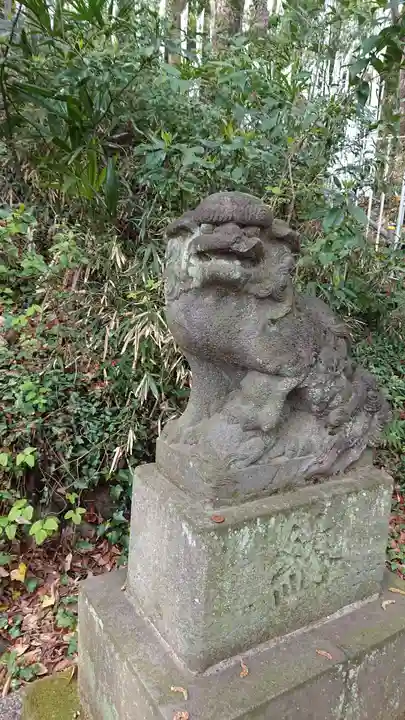 大麻止乃豆乃天神社の狛犬