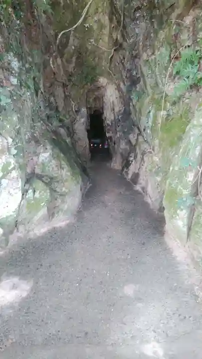 藤ヶ崎龍神社(滋賀県)