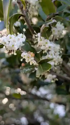 隨心院（随心院）(京都府)