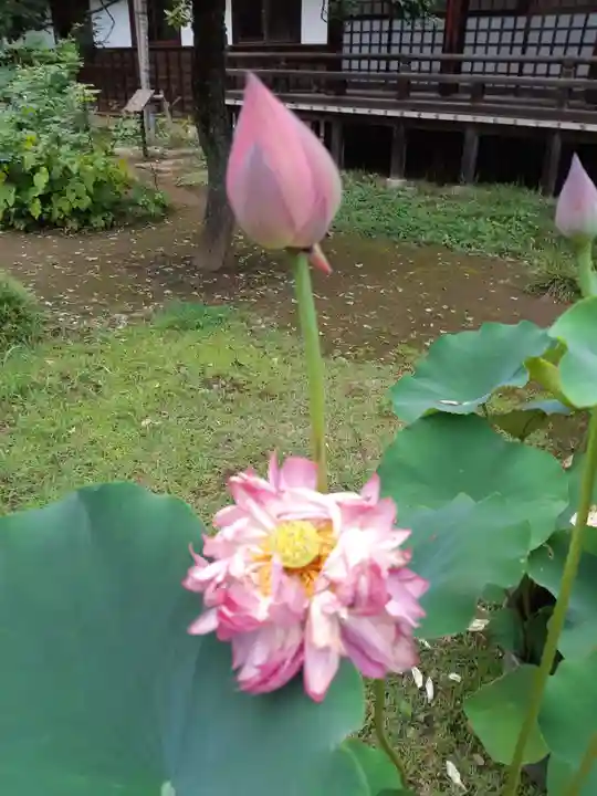 金乘院(千葉県)