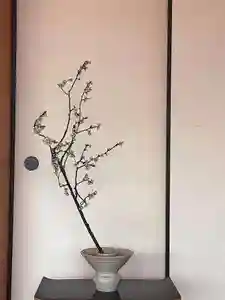 西方山極楽寺(岐阜県)(2022年03月09日(水) 11時17分51秒投稿)