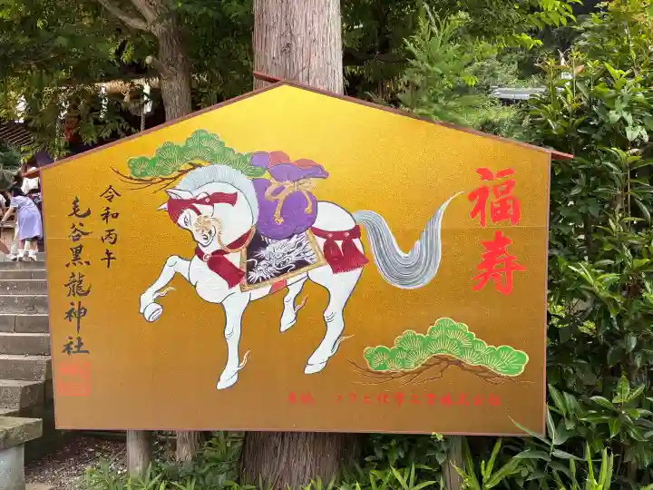 毛谷黒龍神社(福井県)