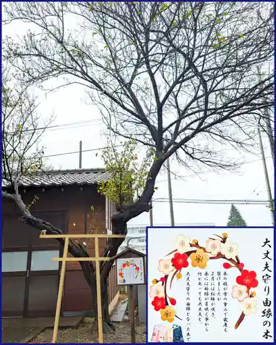 大宮・大原神社(千葉県)