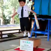 三津厳島神社の七五三参