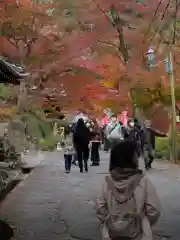 普門寺(切り絵御朱印発祥の寺)(愛知県)