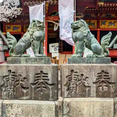 浅草神社の狛犬