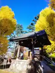 寛永寺(根本中堂)(東京都)