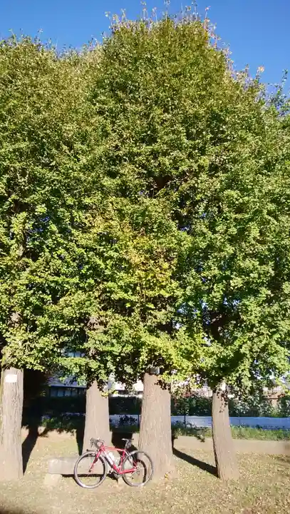 蓮根氷川神社(東京都)