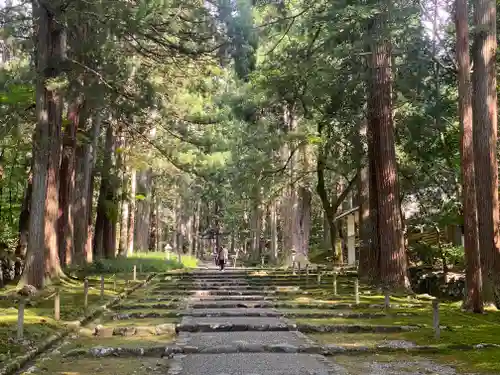 平泉寺白山神社(福井県)