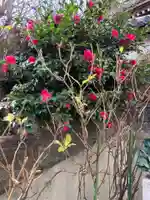 弘明寺稲荷大明神(神奈川県)