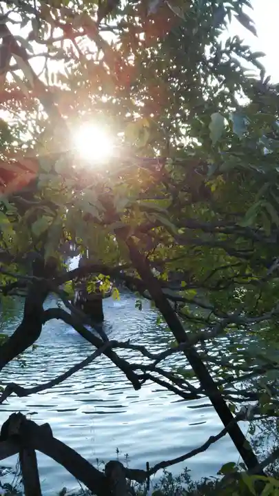 大天白神社の自然