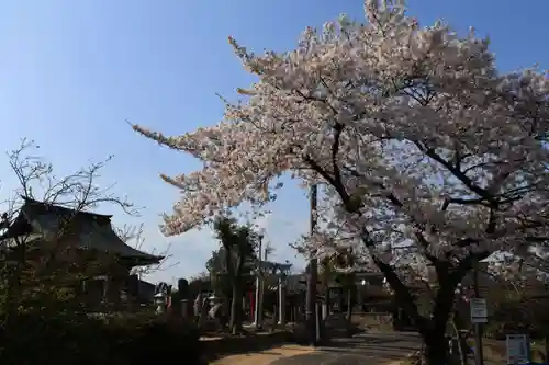 熊野福藏神社の庭園