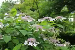 出雲大神宮の自然