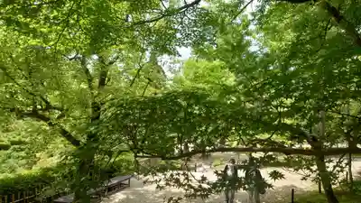 東福禅寺(東福寺)(京都府)