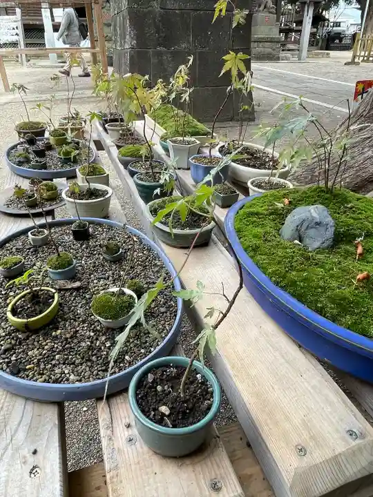 下総国三山 二宮神社(千葉県)