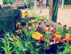 滑川神社 - 仕事と子どもの守り神の手水舎(2020年09月06日(日) 08時19分27秒投稿)