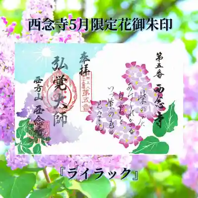 5月は伊賀市周辺でイベントがたくさんあります。ぜひお立寄り下さい。
⇒Ninjaフェスタ5/3.5/4.5/5