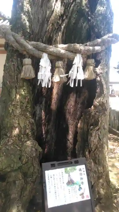 八幡竃門神社の自然