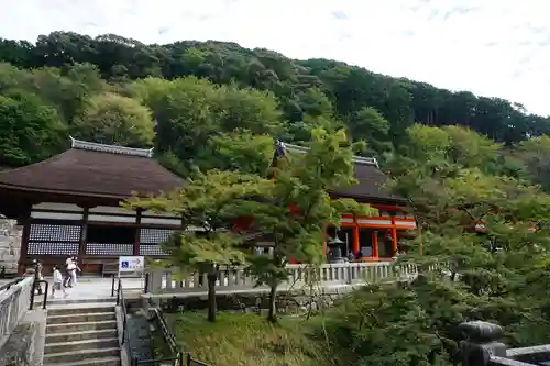 清水寺の景色