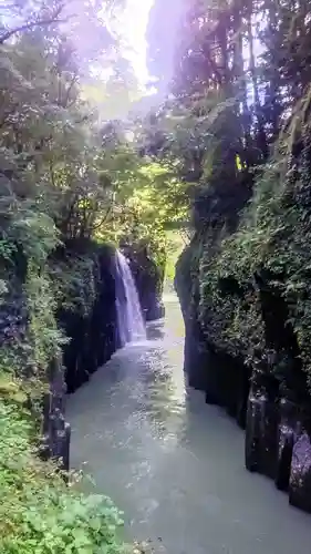 高千穂神社の自然