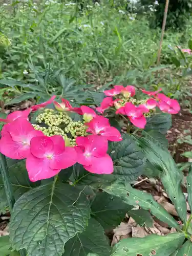 息栖神社の自然