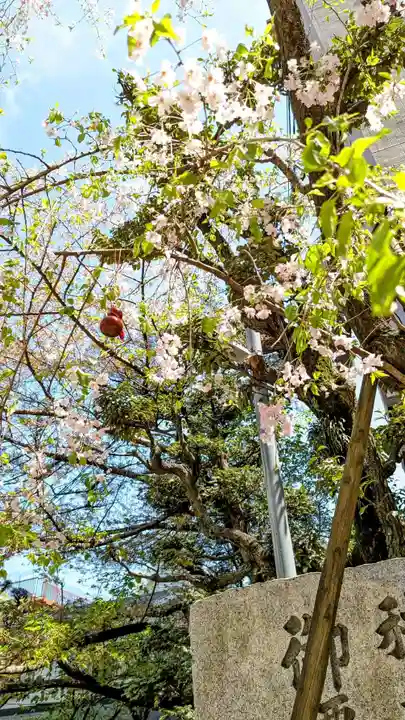 秋葉神社の自然